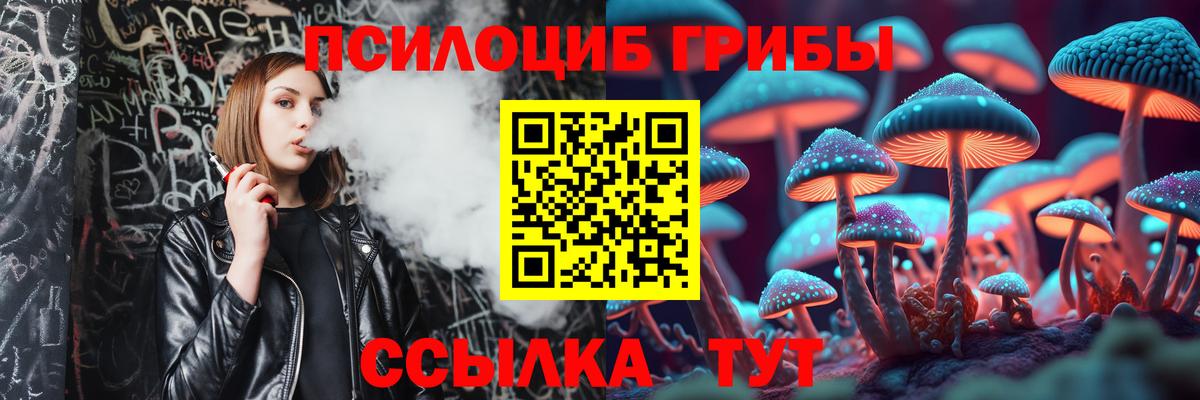 Псилоцибиновые грибы MAGIC MUSHROOMS  Вход с VPN  Чита  Псилоцибиновые грибы MAGIC MUSHROOMS 